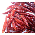 Peperoncino Chaotian essiccato al 100%